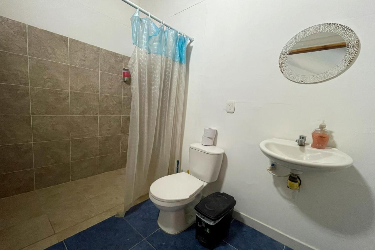 El Zoo Hostel, Bar & Pool Паломино Екстериор снимка